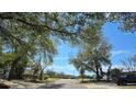 Street view of the neighborhood, lined with mature trees and well-kept homes at 7813 Arabian Pl, Orlando, FL 32818