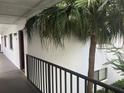 View of hallway with railing leading to units and beautiful palm tree at 2597 Oak Park Way # 205, Orlando, FL 32822