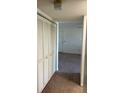Hallway featuring carpet and closet doors at 1013 S Hiawassee Rd # 3626, Orlando, FL 32835