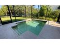 Private backyard pool is encased by a screen, overlooks a pond and grassy area with mature trees at 8991 Cuban Palm Rd, Kissimmee, FL 34747