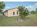 Spacious backyard with lush green grass, perfect for outdoor activities and relaxation at 13469 Texas Woods Cir, Orlando, FL 32824