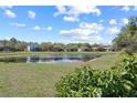 Backyard view showcasing a serene pond surrounded by well-maintained lawns and lush greenery at 176 Blue Jay Way, Davenport, FL 33896