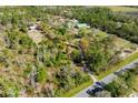 Expansive property showcasing mature trees and a winding drive at 20773 Starry St, Orlando, FL 32833