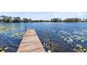 Lakeside dock with clear blue water and serene water lilies at 9744 Cub Cv, Apopka, FL 32703