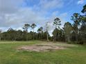 Spacious backyard perfect for recreation, surrounded by mature trees and natural landscape at 1955 Mustang Ct, St Cloud, FL 34771