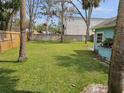 Expansive backyard with healthy grass, bordered by fencing and mature trees at 723 Dougherty St, New Smyrna Beach, FL 32168