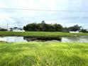Scenic backyard view overlooking a tranquil pond surrounded by lush greenery and distant homes at 1018 Martin Blvd, Orlando, FL 32825