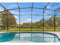 Beautiful screened in pool overlooking a green lawn and scenic view of the water at 1205 Butterfly Orchid Rd, Davenport, FL 33837