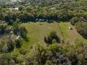 Aerial view of a spacious lot featuring lush green grass, scattered trees, and clear boundaries at 372 Carpenter Ave, Osteen, FL 32764