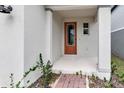 Inviting front porch with a stylish front door and textured walls, creating a warm entrance at 2313 Mystic Maze Ln, Clermont, FL 34715