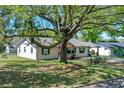 Side view of cozy single-story home featuring green shutters and a large tree providing shade to the yard at 412 N Boyd St, Winter Garden, FL 34787