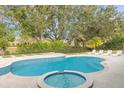 Beautiful backyard pool and hot tub with lounge chairs and serene landscaping at 6030 Greatwater Dr, Windermere, FL 34786