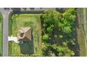 Birds-eye view showcasing a home's lush yard, complemented by mature trees and surrounding greenery at 19301 Wembley Ave, Orlando, FL 32833