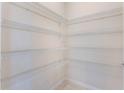 Walk-in pantry with wire shelving for optimal organization and storage at 6403 Shimmering Shores Ln, St Cloud, FL 34771