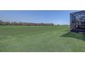 Spacious backyard offers a clear view at 9673 Sw 63Rd Loop, Ocala, FL 34481