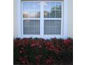 Window box with pink azalea blossoms in front of a window with white trim and shade at 506 Freeman St, Longwood, FL 32750