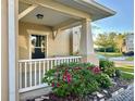 Inviting porch with white railing, decorative plants, and a view of the peaceful neighborhood street at 9843 Tivoli Villa Dr, Orlando, FL 32829