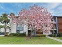 Well-maintained condo building featuring colorful landscaping, including a mature flowering tree at 3 Escondido Cir # 3, Altamonte Springs, FL 32701