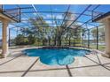 Enclosed pool area featuring a uniquely shaped pool, travertine deck, and screened enclosure at 703 Cricklewood Ter, Lake Mary, FL 32746