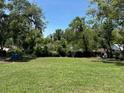 Open backyard with trees, providing potential buyers with ample space and green scenery at 120 S Chandler Ave, Deland, FL 32724