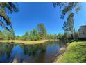 Beautiful pond surrounded by lush trees and green grass at 413 Summit Ridge Pl # 115, Longwood, FL 32779