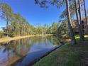 Backyard pond with fountain surrounded by lush trees and green grass at 413 Summit Ridge Pl # 115, Longwood, FL 32779