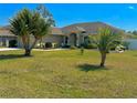 Landscaped front yard showcasing palm trees and the home's exterior at 1556 Lemon Ave, Winter Haven, FL 33881