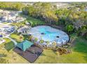 Aerial view showcasing the community pool and playground surrounded by lush landscaping and trees at 3339 Whooping Crane Dr, Davenport, FL 33837