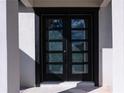 Modern front door featuring glass panels and a sleek black frame at 18721 Seaview St, Orlando, FL 32833