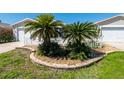 Close up of a well manicured front yard featuring mature palm trees, rock landscaping, and a white picket fence at 790 Blake Ln, The Villages, FL 32162