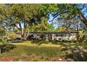 Sprawling single-story home with brick and siding exterior, complemented by mature trees and lush landscaping at 3903 Mockingbird Ln, Orlando, FL 32803