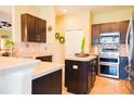 Well-equipped kitchen featuring stainless steel appliances, dark wood cabinets, and a functional island for meal preparation at 2110 Majestic Eagle Pl, Kissimmee, FL 34746