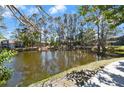 Scenic view of a serene pond surrounded by mature trees and lush greenery, enhancing the community's natural beauty at 6114 Peregrine Ave # D03, Orlando, FL 32819