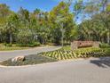 Arden Park community entrance sign surrounded by mature trees, manicured lawns and flowering shrubbery at 2861 Black Birch Dr, Ocoee, FL 34761