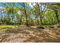 Picture of a secluded backyard with mature trees, and natural landscaping with lots of space for activities at 1120 Sheeler Ave, Apopka, FL 32703