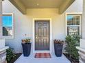 Inviting entryway features a stylish front door with decorative wreath, potted plants, and neutral-toned exterior at 3055 Aqua Virgo Loop # 47, Orlando, FL 32837