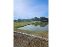 Scenic view of a tranquil pond surrounded by lush greenery and distant houses on a sunny day at 1510 Massa St, Kissimmee, FL 34744