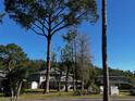 Exterior view of well-maintained condos with mature trees, a lush lawn, and clear blue skies above at 4251 Pinebark Ave # 17-3, Orlando, FL 32811