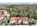 A high angle aerial showing the community's tile roofs and beautiful wooded area at 4500 Alberto Cir, Kissimmee, FL 34746