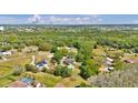 Aerial view showcases home nestled in a lush, green neighborhood with mature trees at 245 Country Circle E Dr, Port Orange, FL 32128
