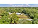 Aerial view of blue one-story home surrounded by lush green trees on large lot at 245 Country Circle E Dr, Port Orange, FL 32128