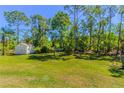 Spacious backyard with lush greenery, a storage shed, and mature trees for added privacy at 3394 Hawkin Dr, Kissimmee, FL 34746