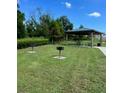 Community picnic area featuring tables and barbecue grills, surrounded by a lush green lawn at 7264 Dilly Lake Ave, Groveland, FL 34736