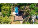 Aerial view of a home featuring a private pool surrounded by lush greenery and mature trees at 135 Hilltop Pl, Altamonte Springs, FL 32701