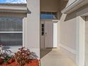 Close-up of the inviting front door, surrounded by colorful landscaping at 2520 Chatham Cir, Kissimmee, FL 34746