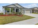 Landscaped front yard featuring a well-maintained lawn, decorative mulch, and young palm trees enhancing curb appeal at 3007 Audubon Field Dr, Bartow, FL 33830