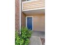 Exterior shot of a blue apartment door with siding and a light fixture above the entrance at 4355 Perkinshire Ln # 103, Orlando, FL 32822
