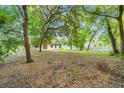 Large backyard featuring mature trees offering shade and privacy at 304 Woods Landing Dr, Lady Lake, FL 32159