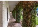 Spacious, ivy-covered outdoor corridor featuring stone flooring and subtle lighting at 222 Yarmouth Rd, Fern Park, FL 32730