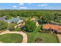 An aerial view of a home with mature trees, green lawns, and a view of the surrounding landscape at 14343 Tilden Rd, Winter Garden, FL 34787